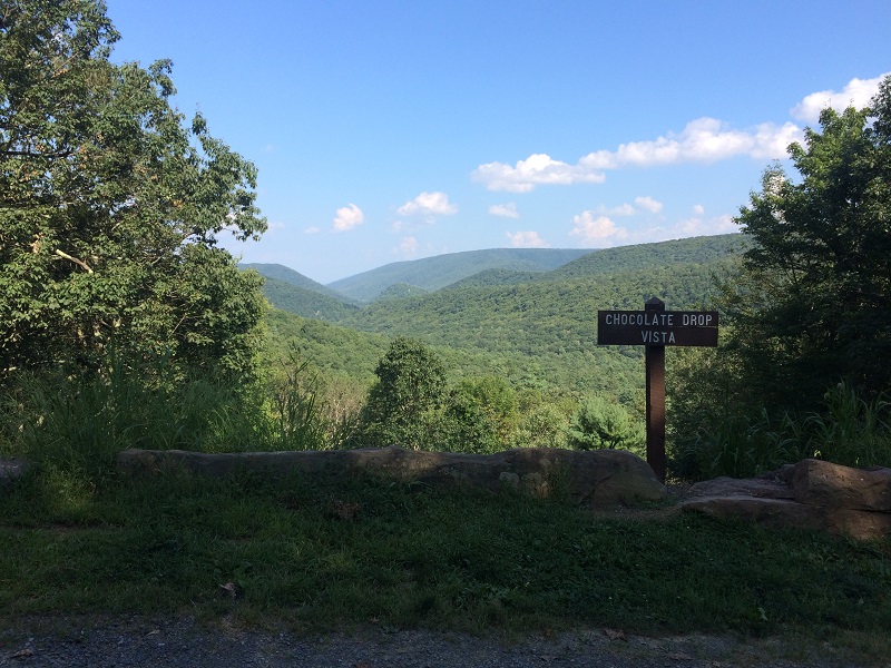 IMG_8387.JPG