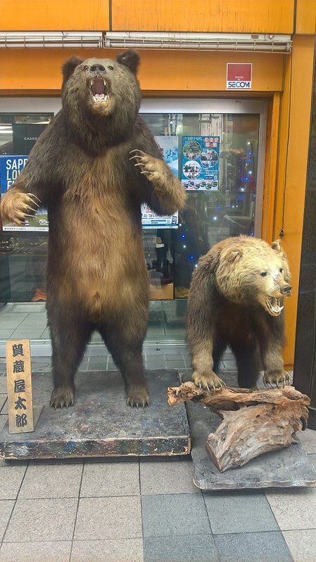 BaerenSapporo1.jpg