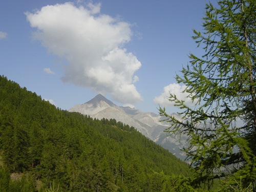 DSC00044.JPG