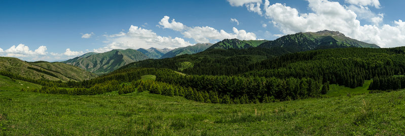 DSCF3007.jpg