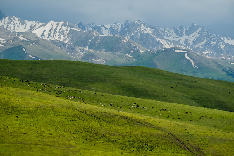 DSCF0785.jpg