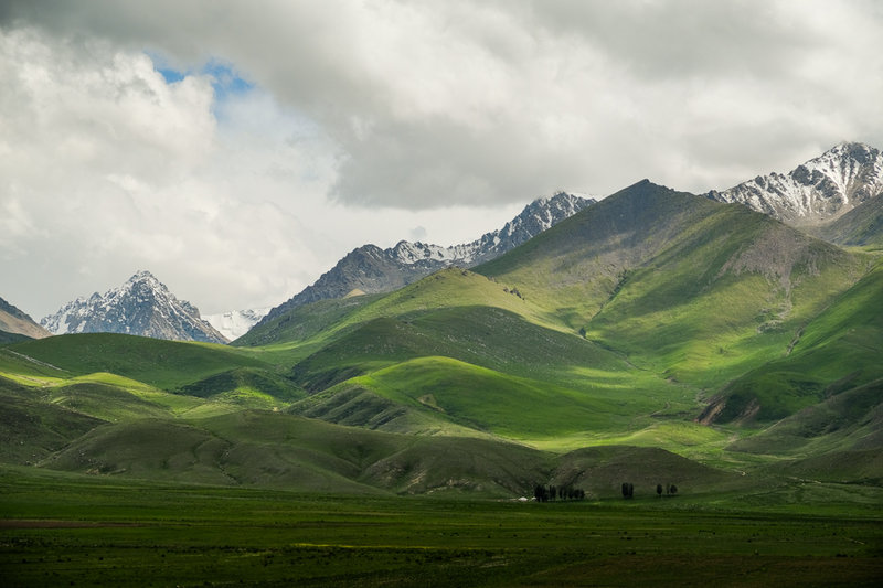 DSCF3113.jpg
