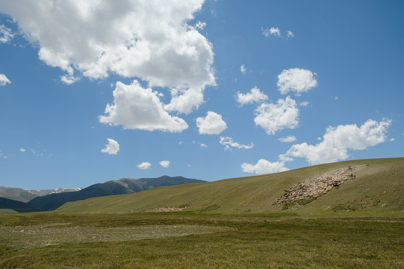 DSCF3423.jpg