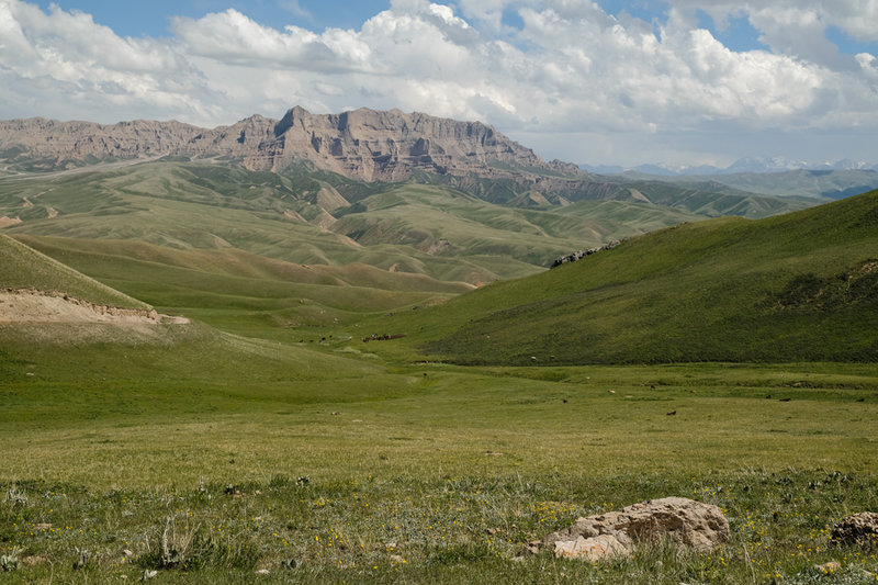 DSCF3491.jpg