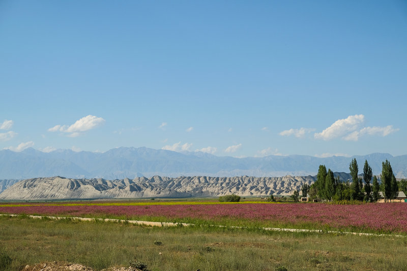 DSCF3595.jpg