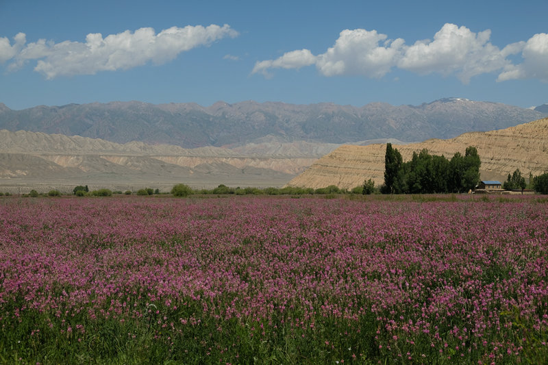 DSCF3624.jpg