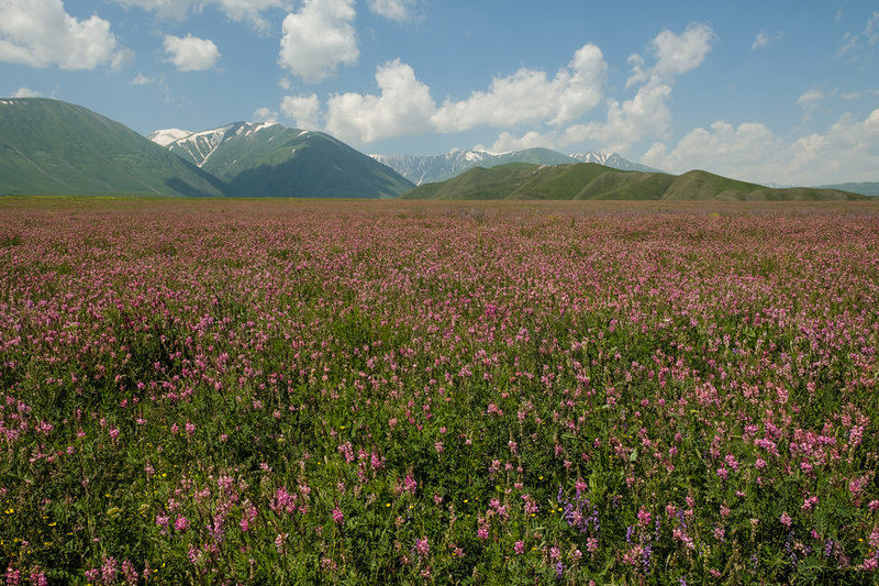 DSCF3704.jpg