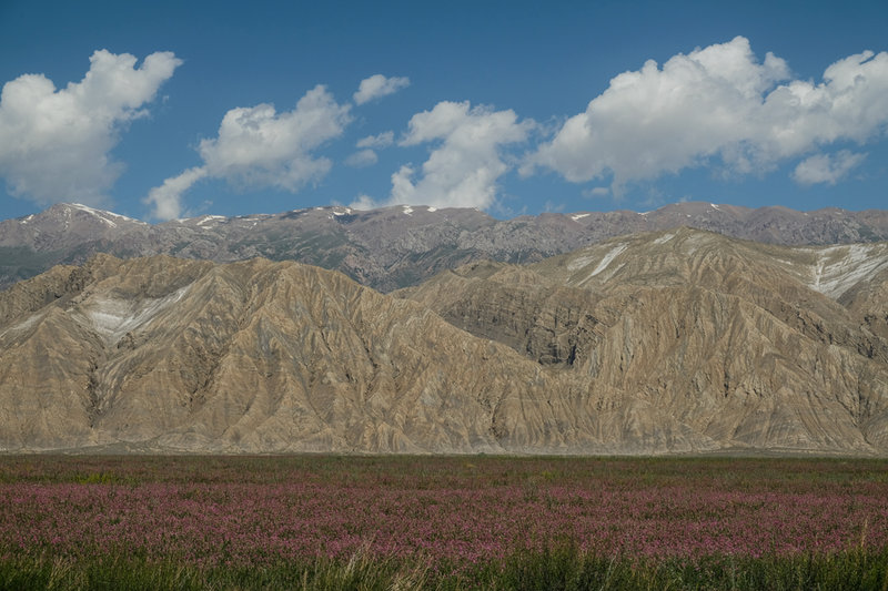 DSCF3613.jpg