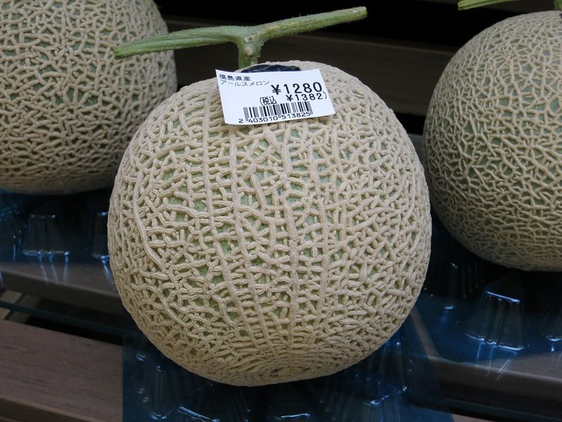 Melone1382Y.jpg