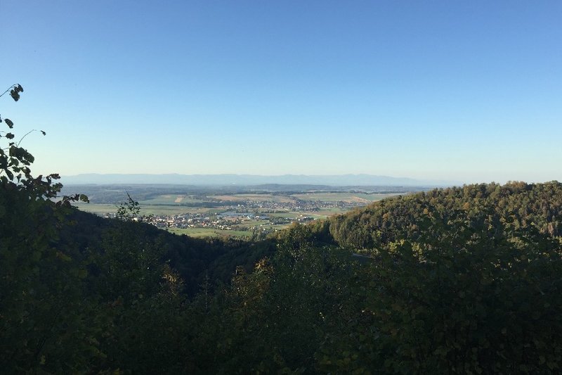 SchwaSchweiVog-13.jpg