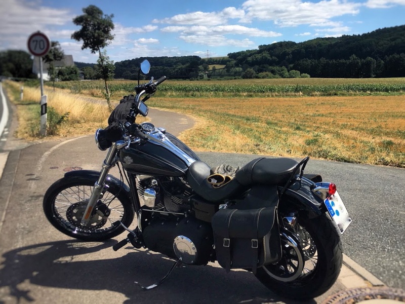 IMG_Harley.4918.JPG