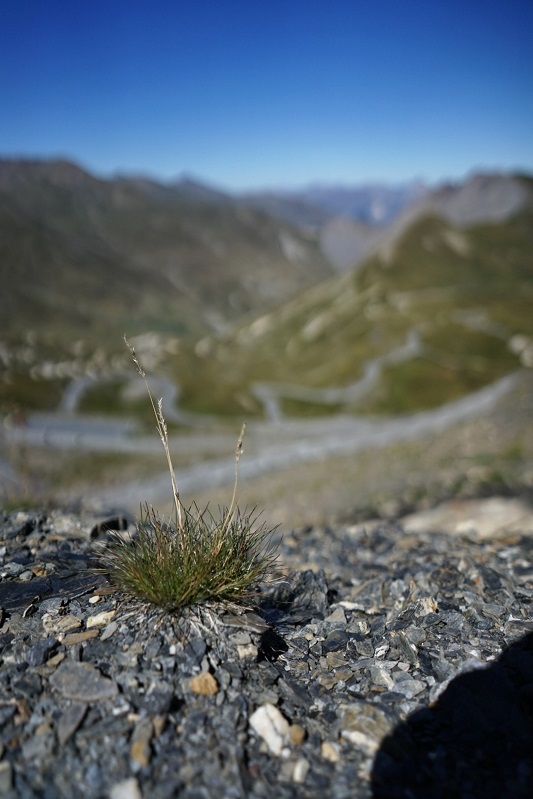 Galibier1.jpg