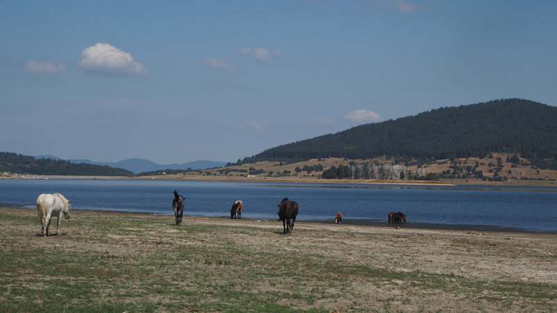 Stausee, Süd- BG