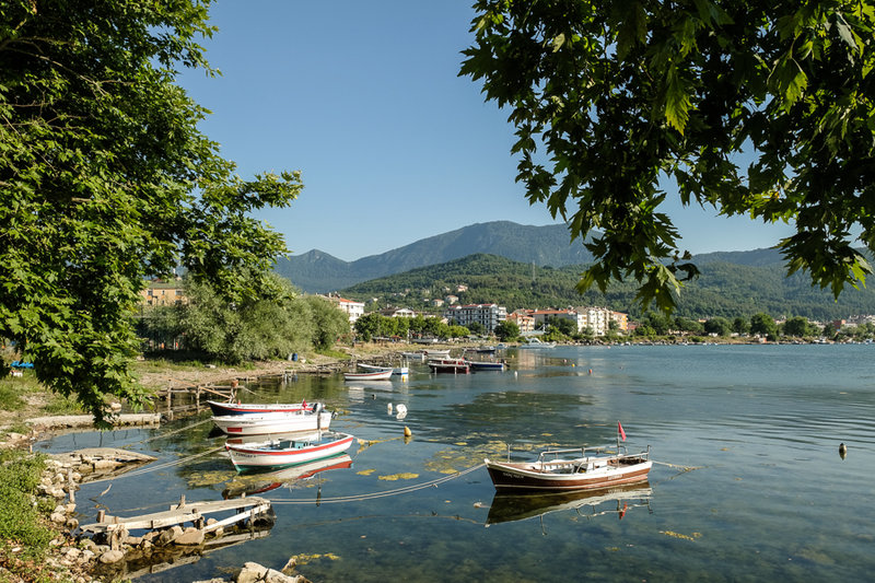 Cide!
