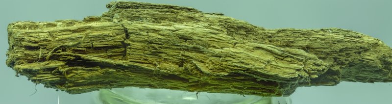 HOLZ_gigapixforum.jpg