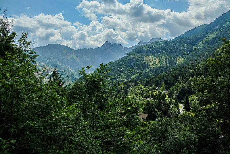 DSCF7703.JPG