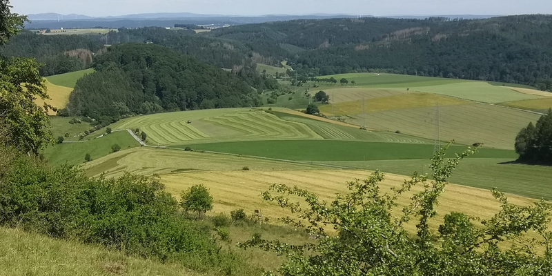 kunstvolle Ernte