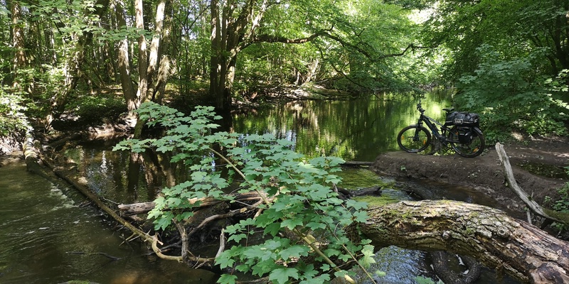 Idyllische Bille im Sachsenwald