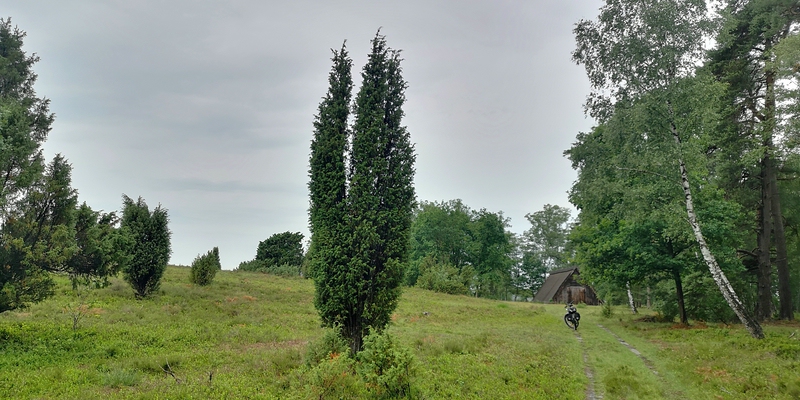 Lüneburger Heide