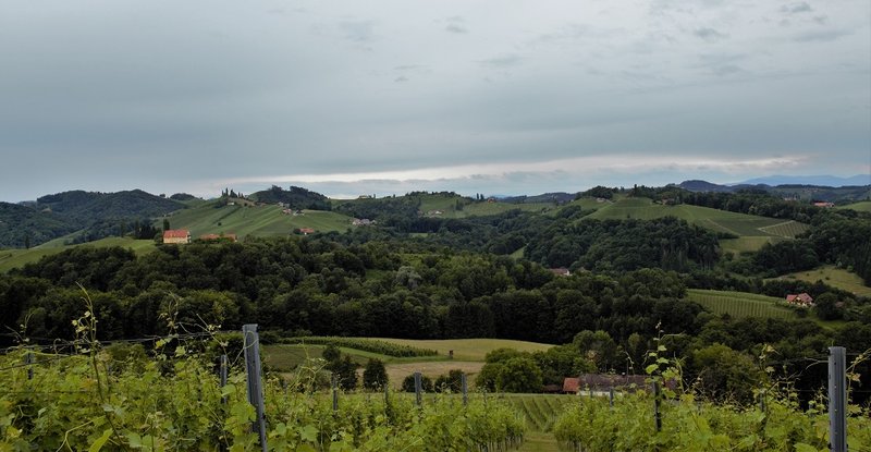 Der klassische Blick in die südsteirische Weinstrasse