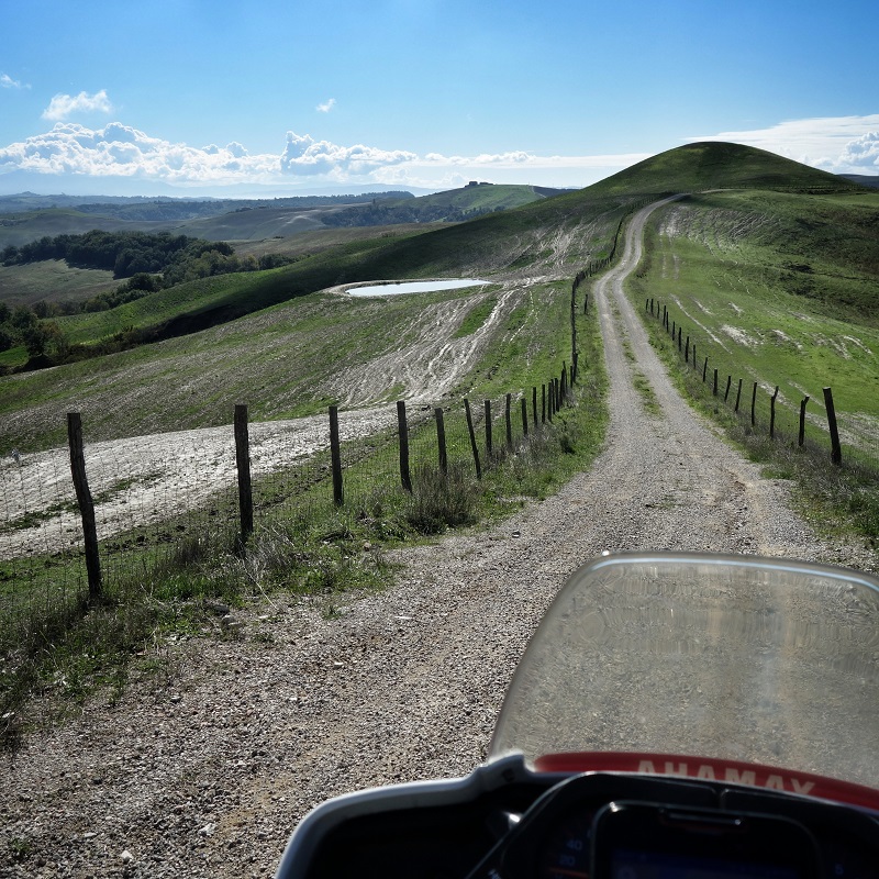 DSC02621-01[1].jpg