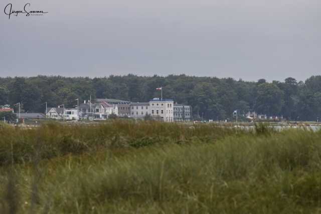 IMG_7802.jpg