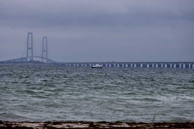 IMG_7803.jpg