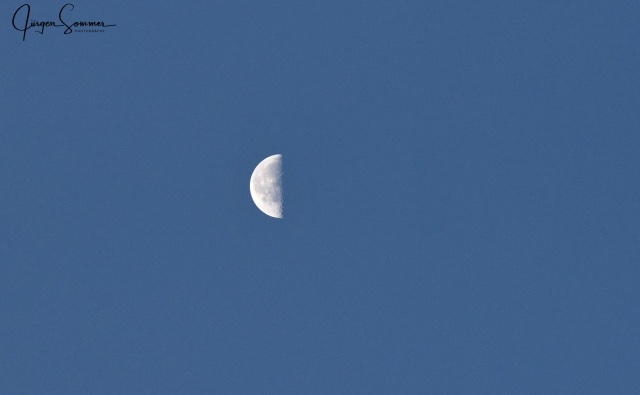 IMG_7808.jpg
