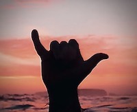 Hang loose.jpeg