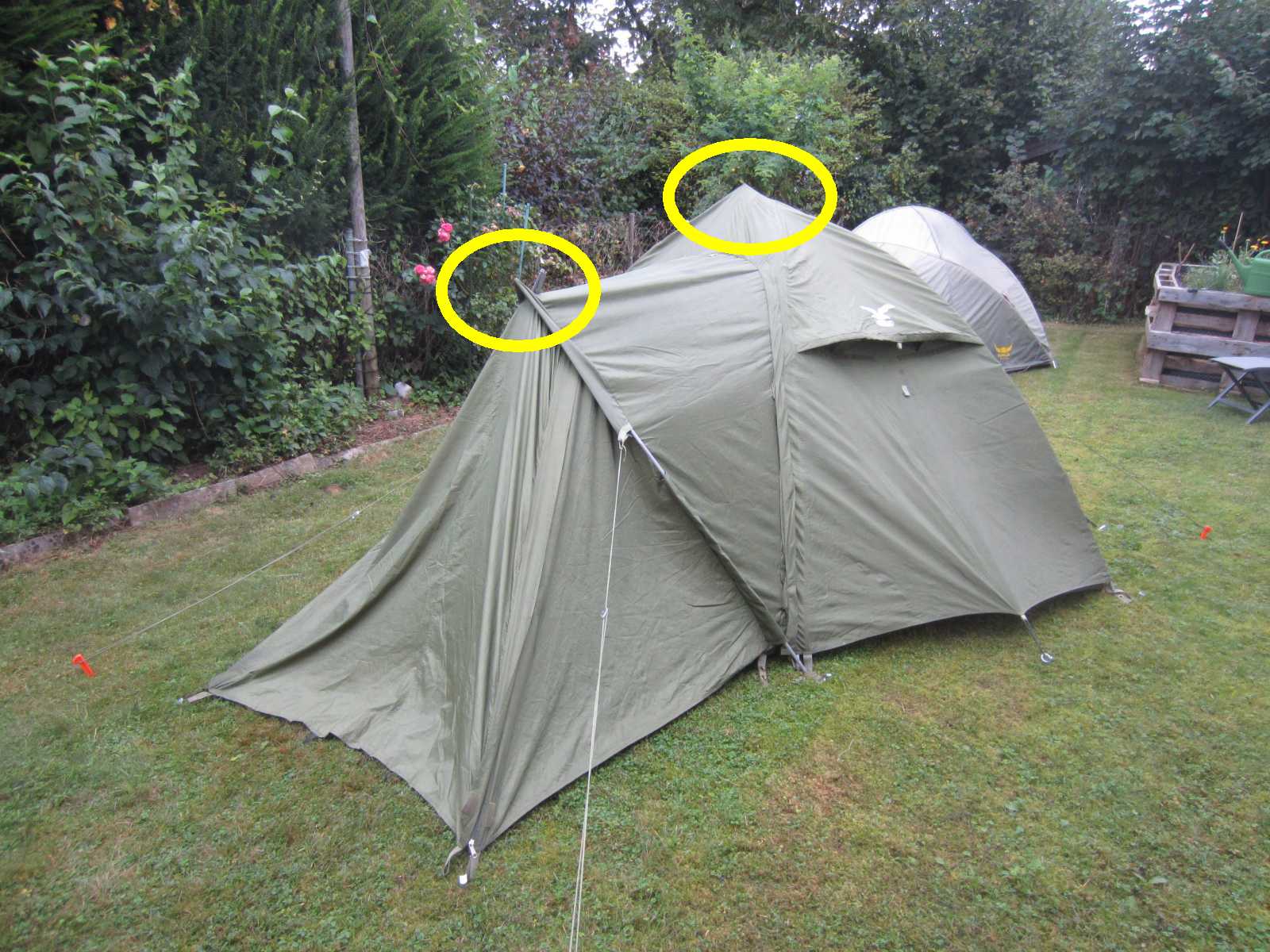 Salewa 2a.jpg