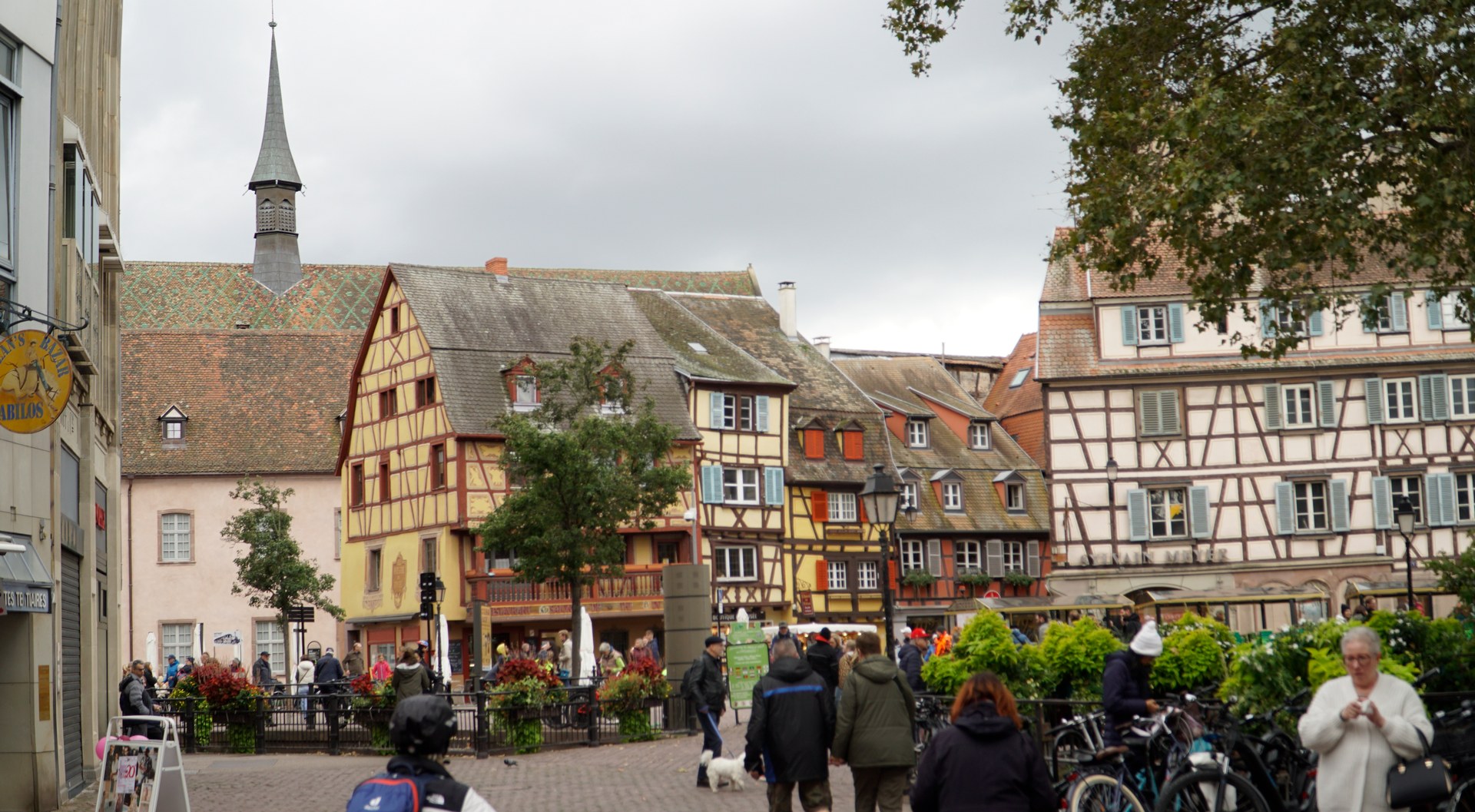 20241004_1425_241004_MAUSA_Neuf-Brisach__DSC2232_01.jpg
