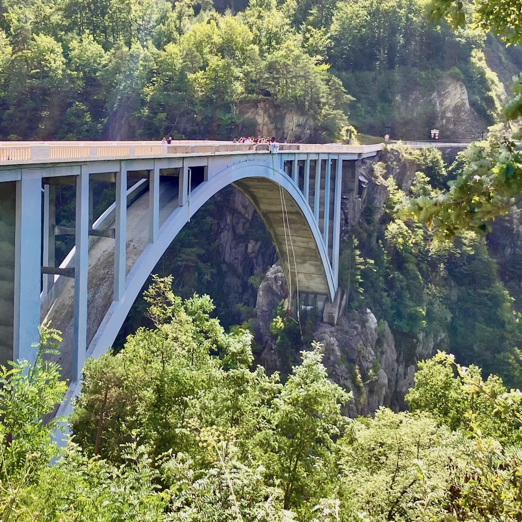 Bungee.jpeg