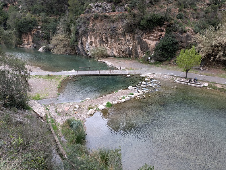 PXL_20250319_141620651.jpg