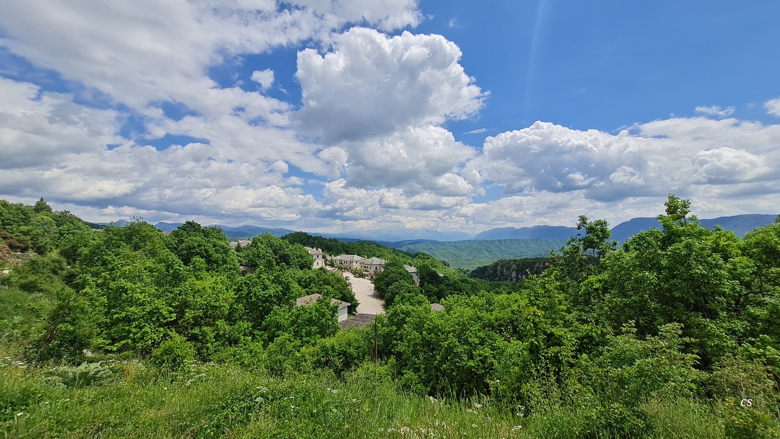 20250514_1403_Monodendri.jpg