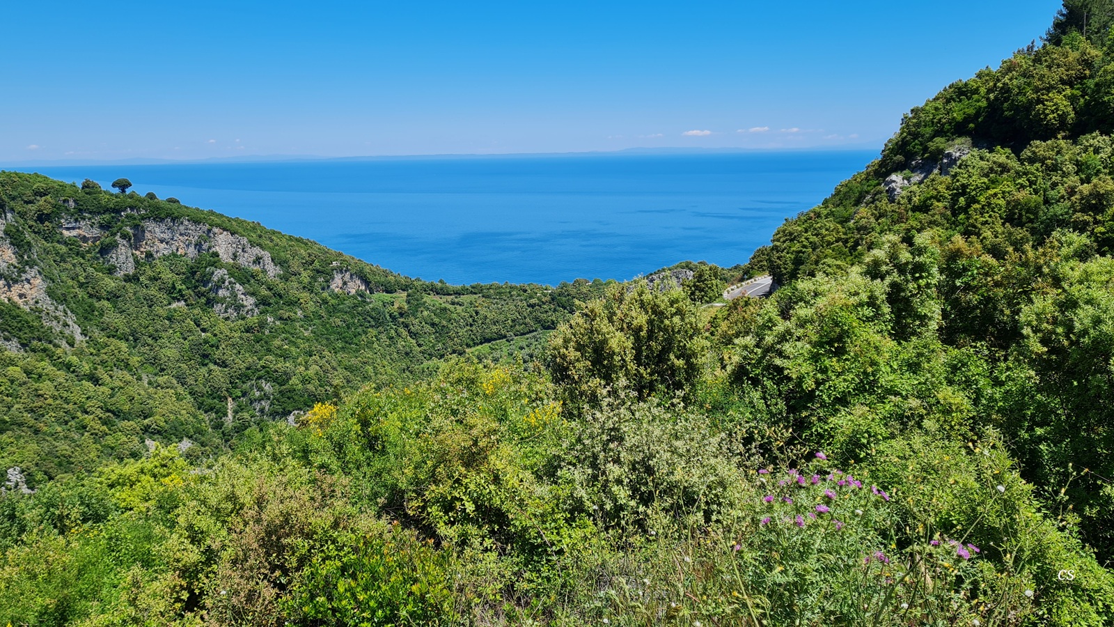 20250518_1302_Aegeais_34.jpg