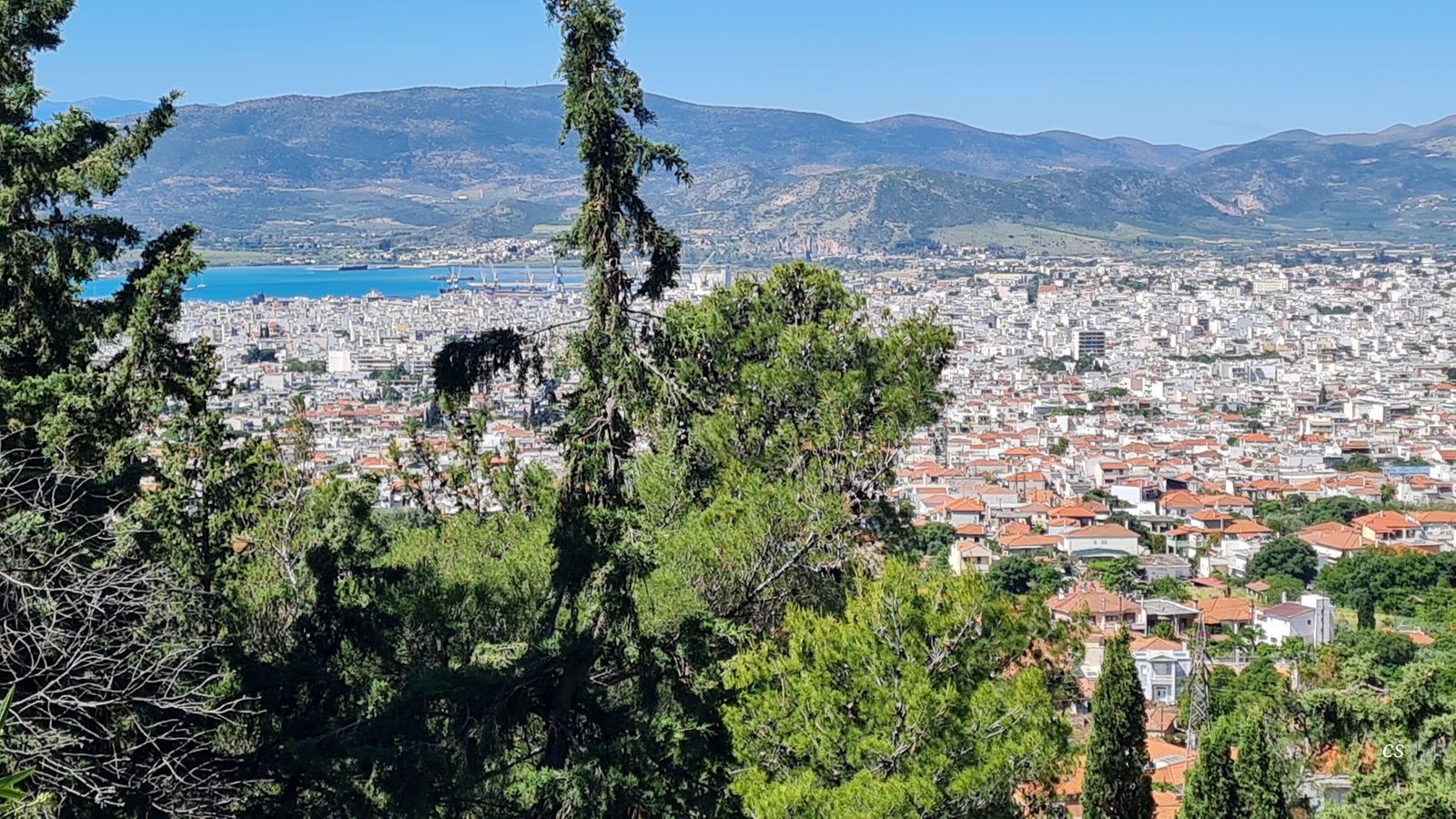20250518_1057_Volos.jpg