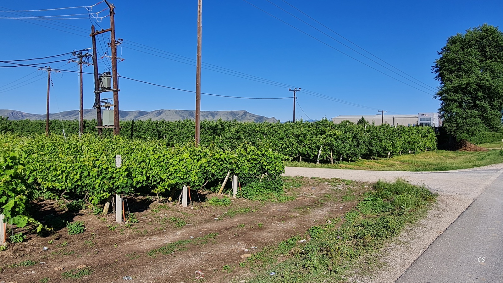 20250518_0902_E65_Tirnavos.jpg