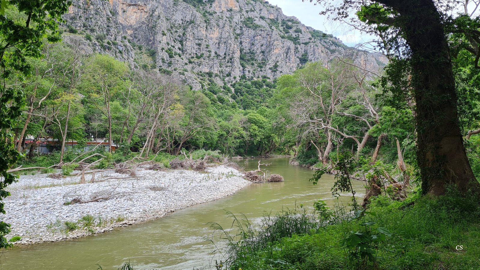 20250521_1026_Pinios.jpg