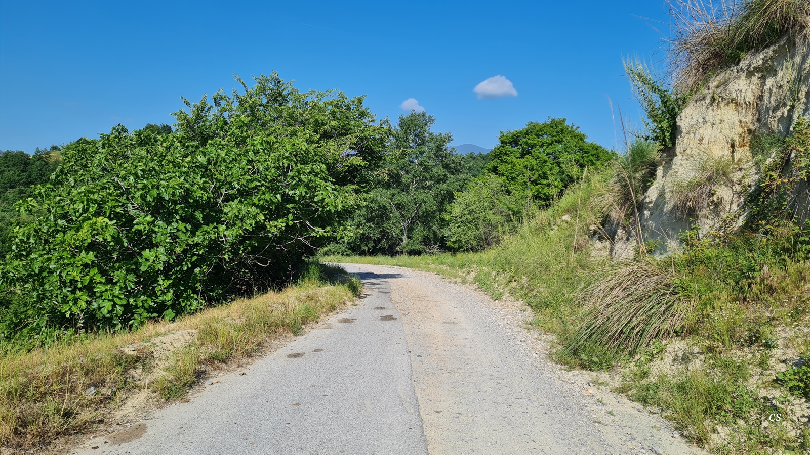 20250522_0924_Moschochori.jpg