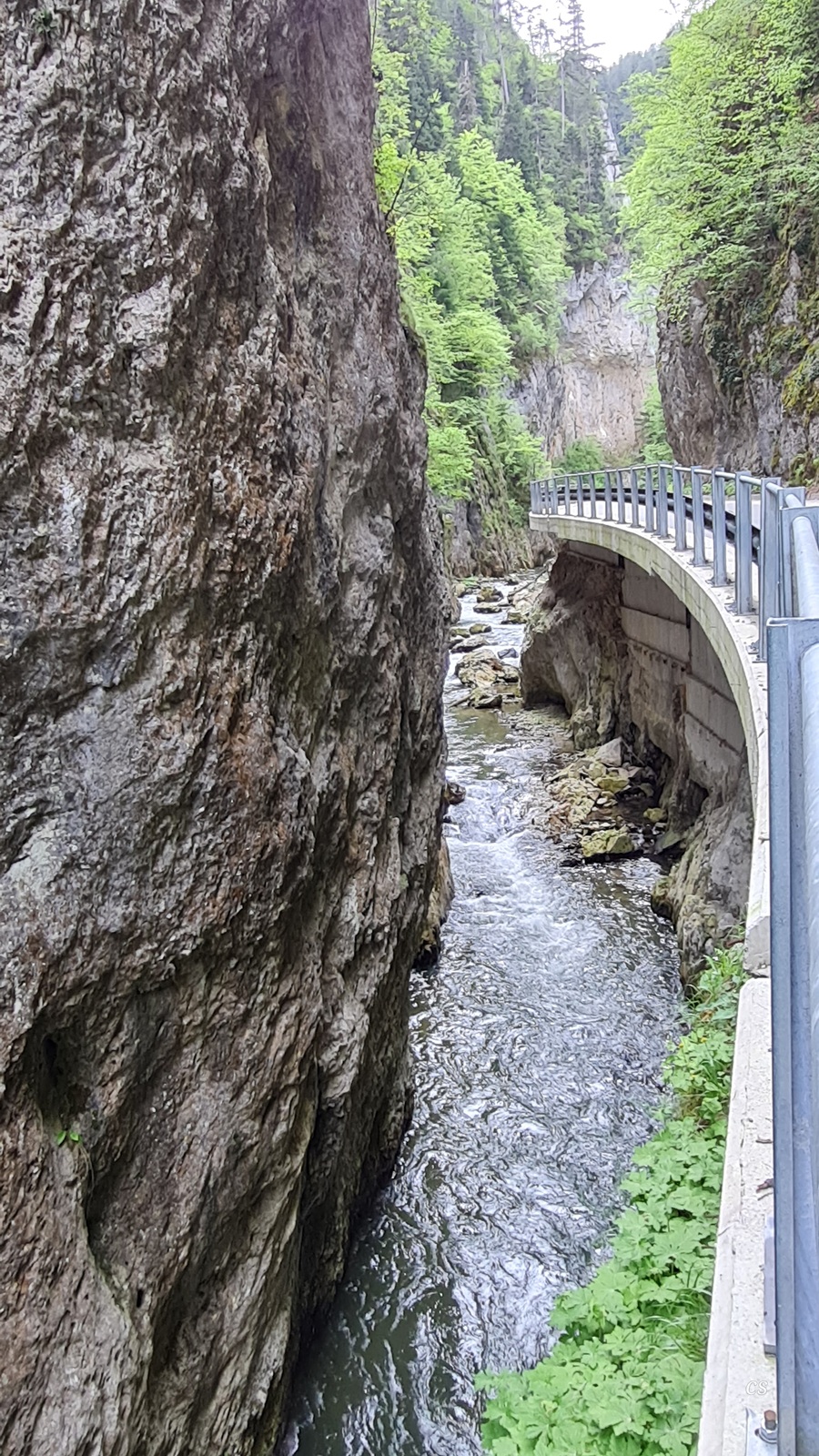 20250523_1243_TrigraderSchlucht.jpg