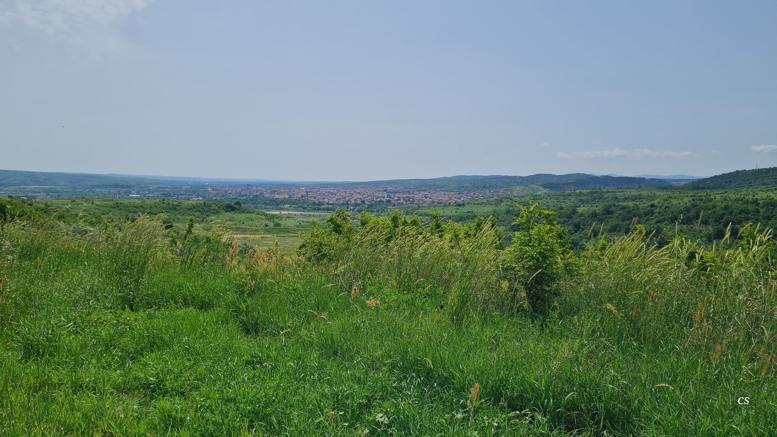 20250524_1115_Charmanli.jpg