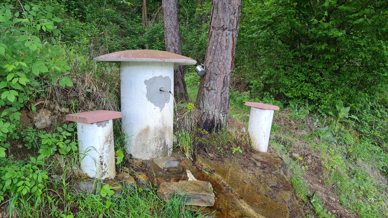 20250524_0904_865.jpg