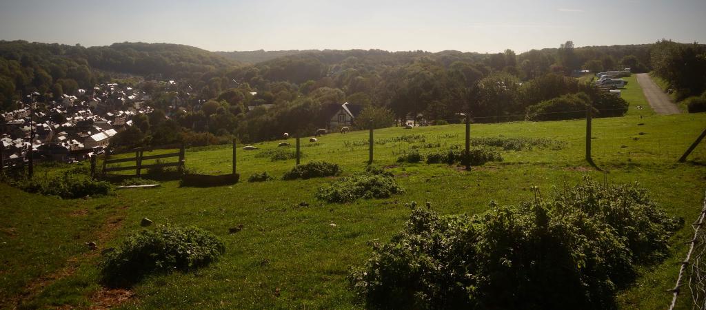 2018 Normandie 1_14.jpeg