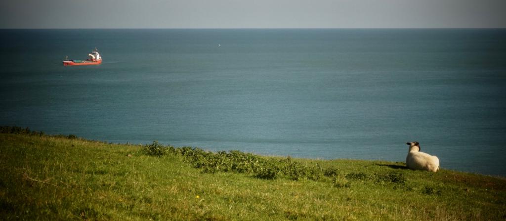 2018 Normandie 1_16.jpeg