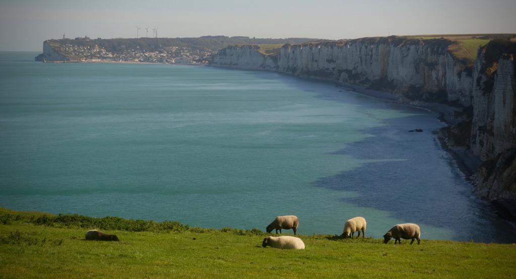 2018 Normandie 1_17.jpeg