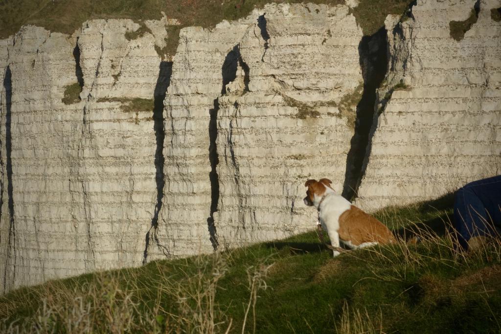 2018 Normandie 3_13.jpeg