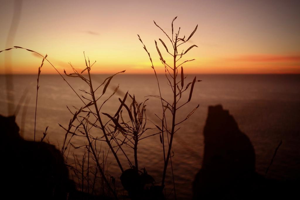 2018 Normandie 3_27.jpeg