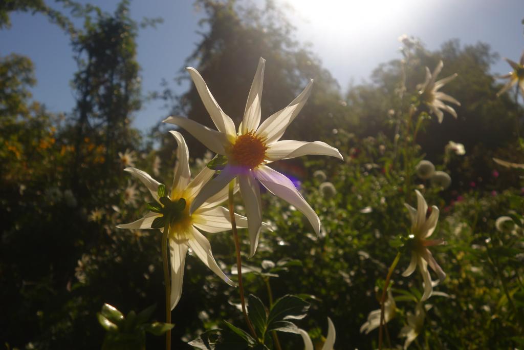 2018 Normandie 5_10.jpeg