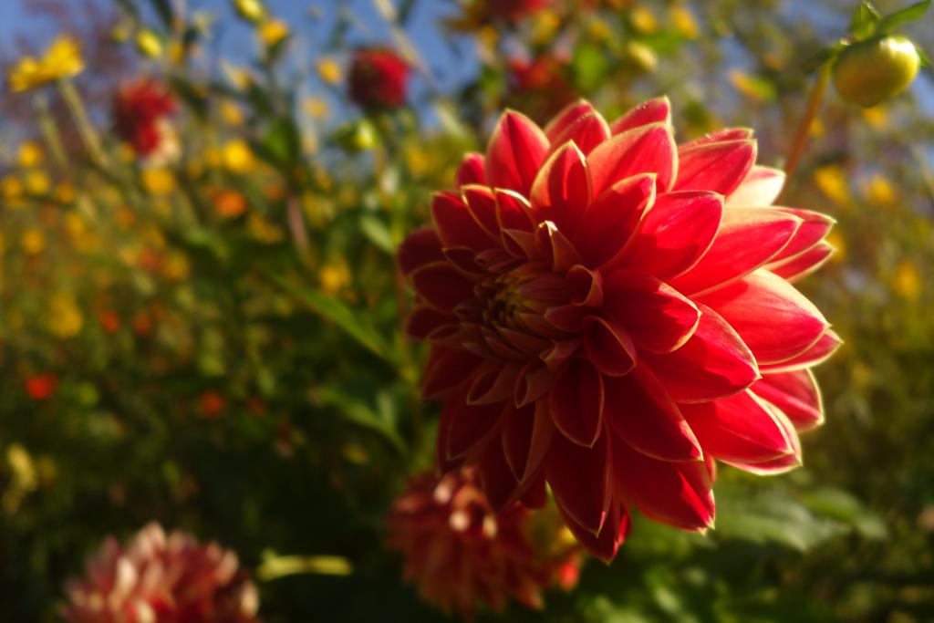 2018 Normandie 5_11.jpeg