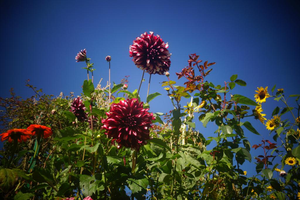 2018 Normandie 5_12.jpeg